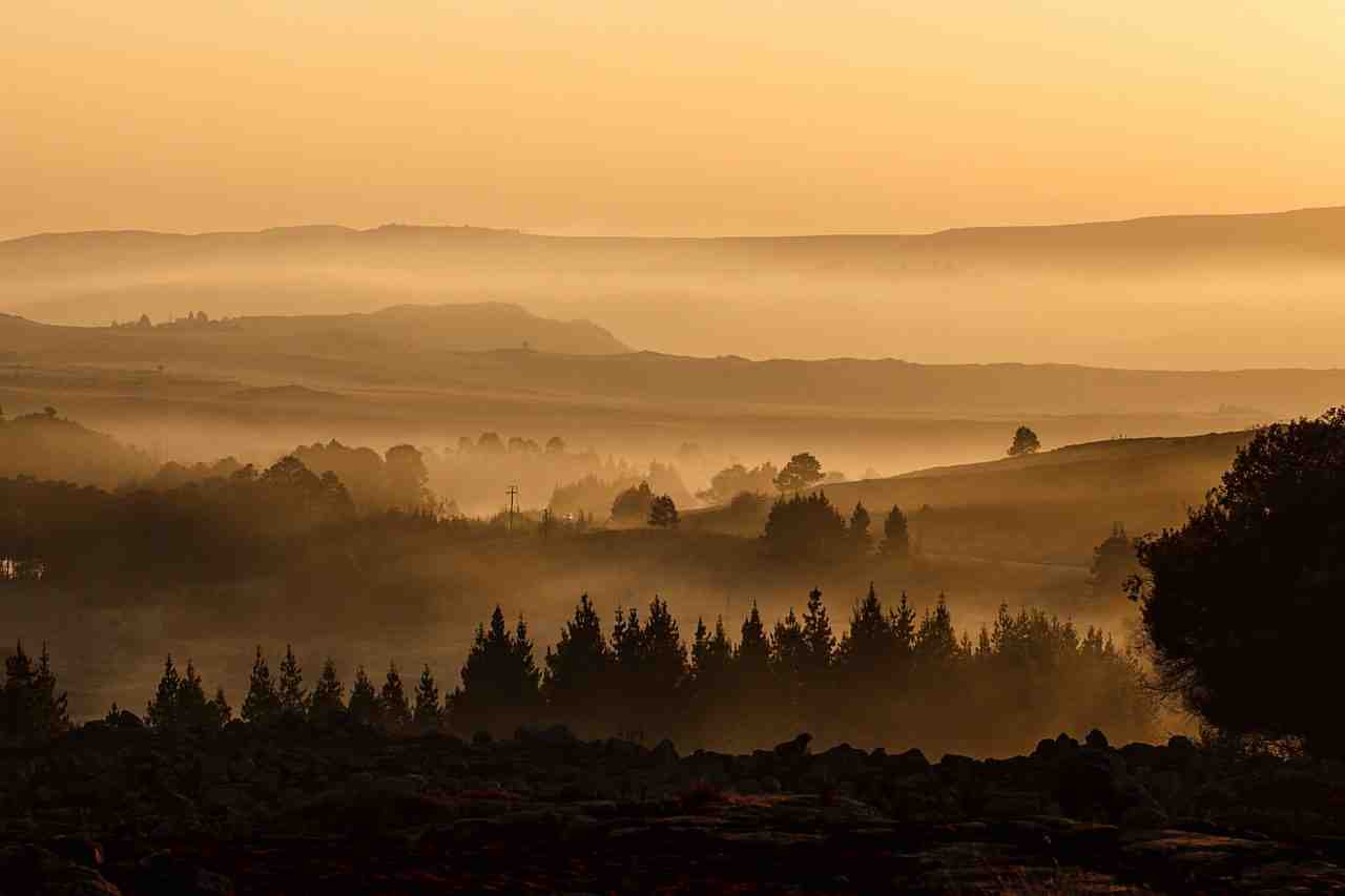 paysage, vallée de, brouillard